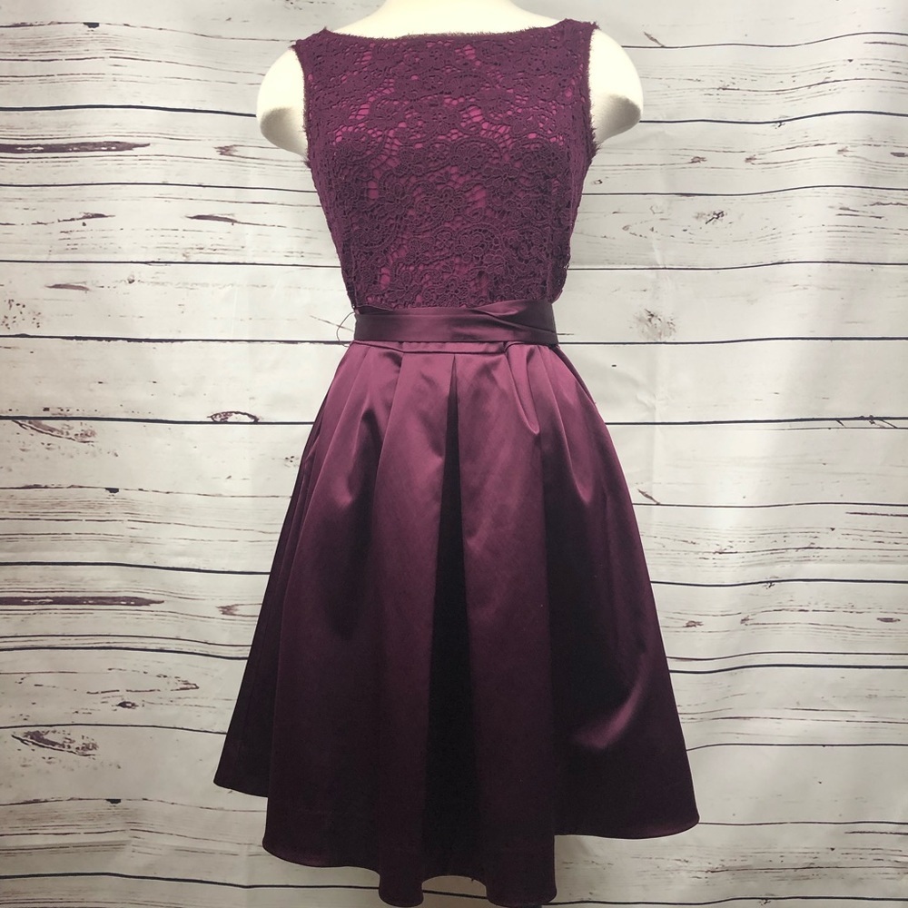 Limited‎ Plum A-line Dress